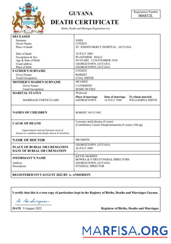 Downloadable Guyana death certificate Word and PDF template